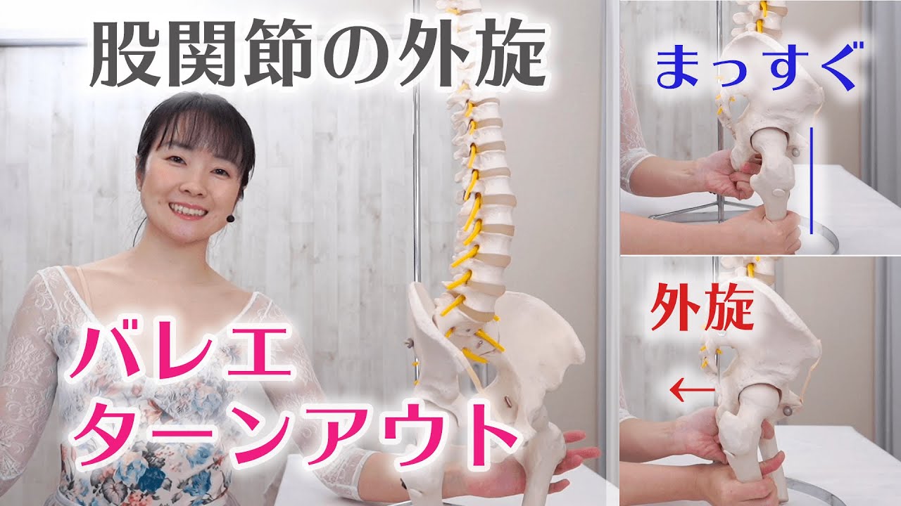バレエのターンアウト 股関節の外旋のしくみ（骨格模型で学ぶ）脚を高く上げるヒント ballet turnout