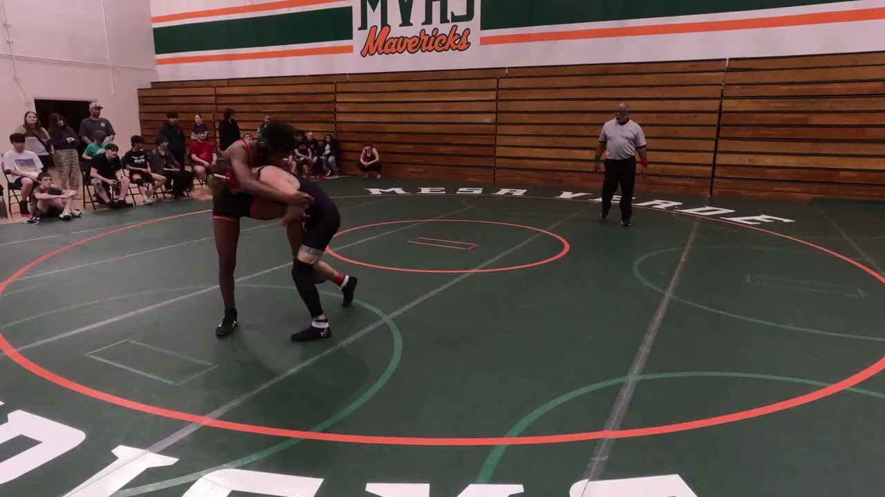 132 Tony v Mesa