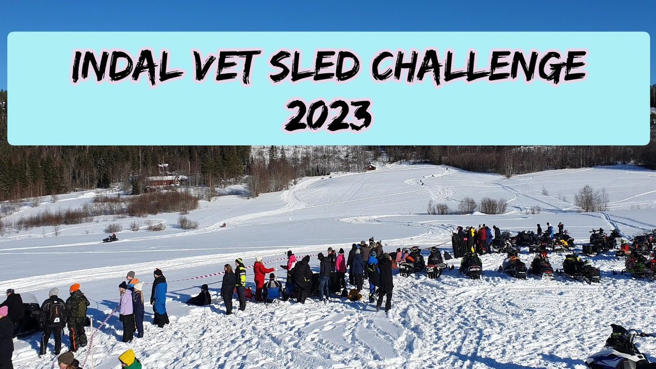 Indal Vet Sled Challenge 2023