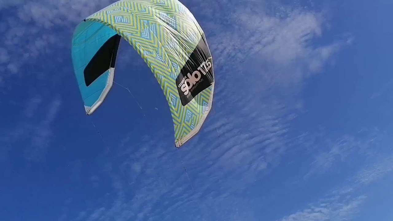Fly high...up up in the sexy sky - bingo ingo flamingo