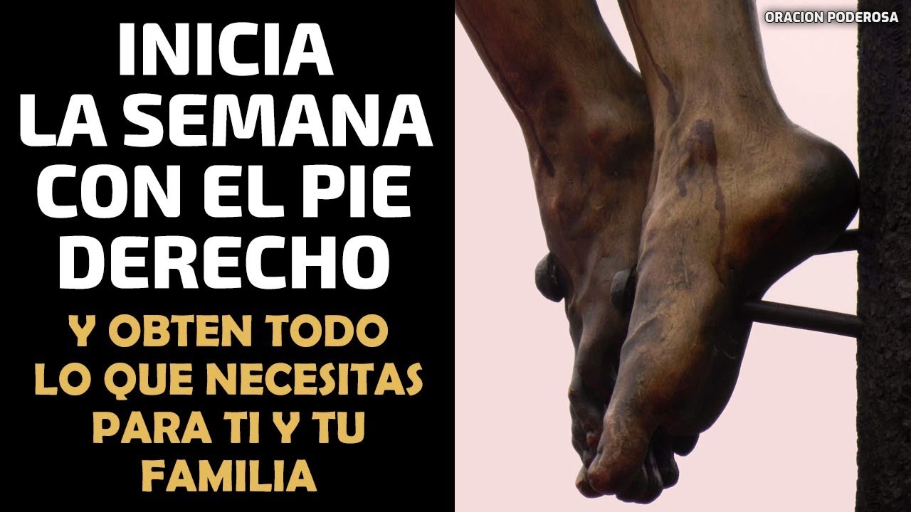 Inicia la semana con el pie derecho y obtén todo lo que necesitas para Tí y tu Seres Queridos