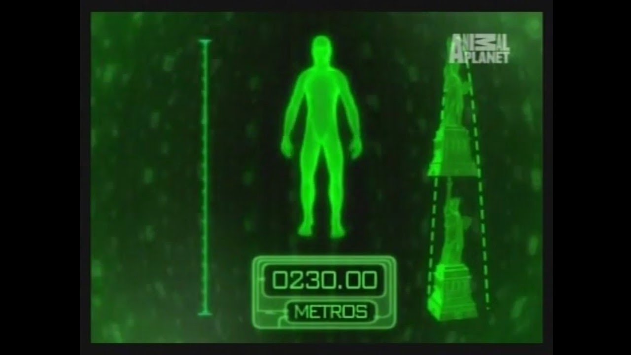 Animal Planet al Extremo | T1:E5 | 