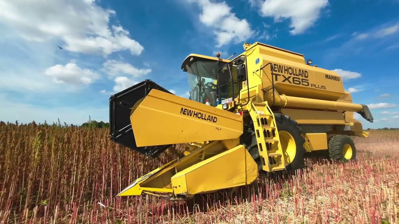 Harvesting Quinoa with 2 X New Holland  TX 66 and TX65 - Mahieu Mechanisatie -