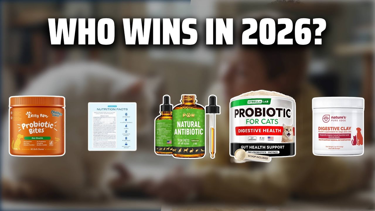 The Top 5 Best Cat Anti Diarrhea in 2026 - Must Watch Before Buying!