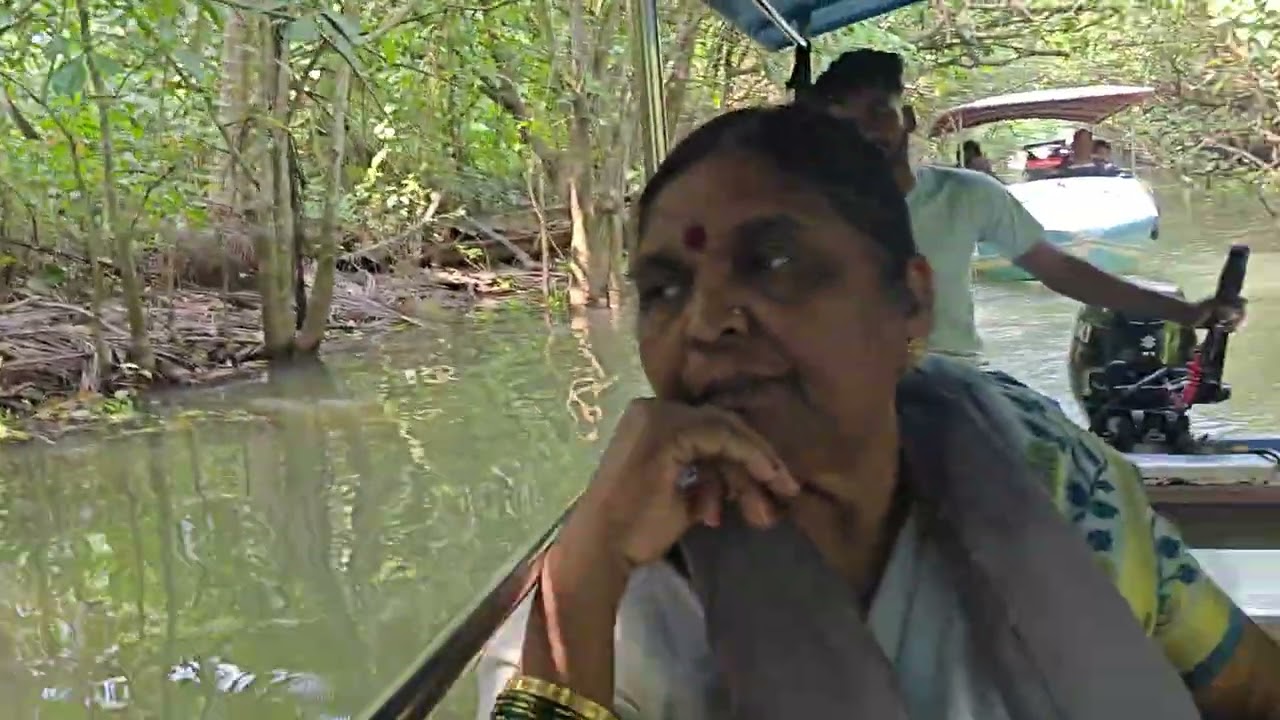 Mangrov forest in kerala by boat 