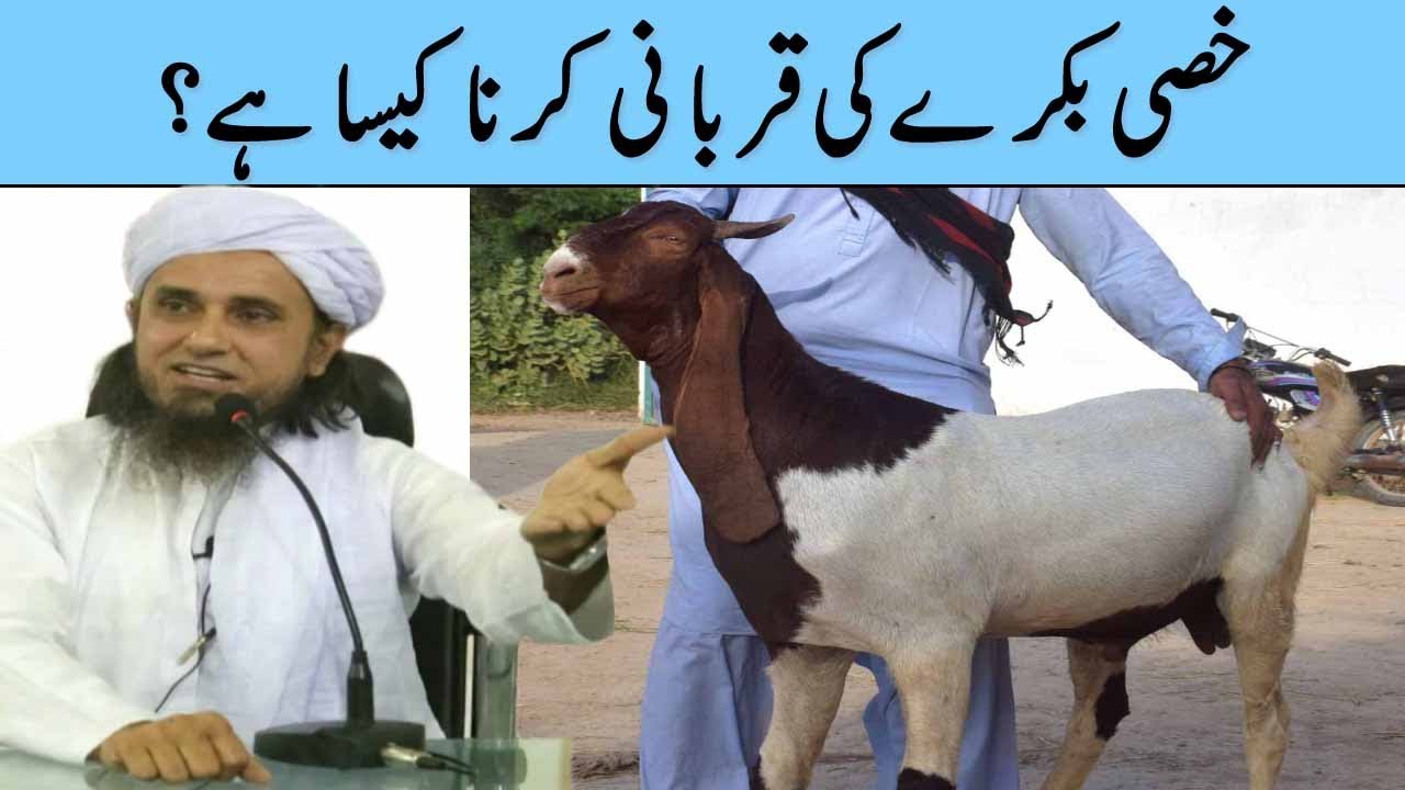 Khassi Bakra Ki Qurbani Mufti Tariq Masood Sahab