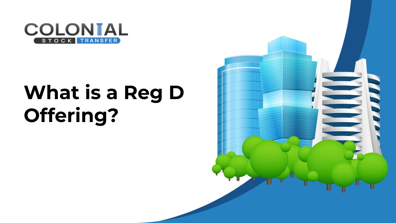 What is a Reg D Offering and Why should you consider it?