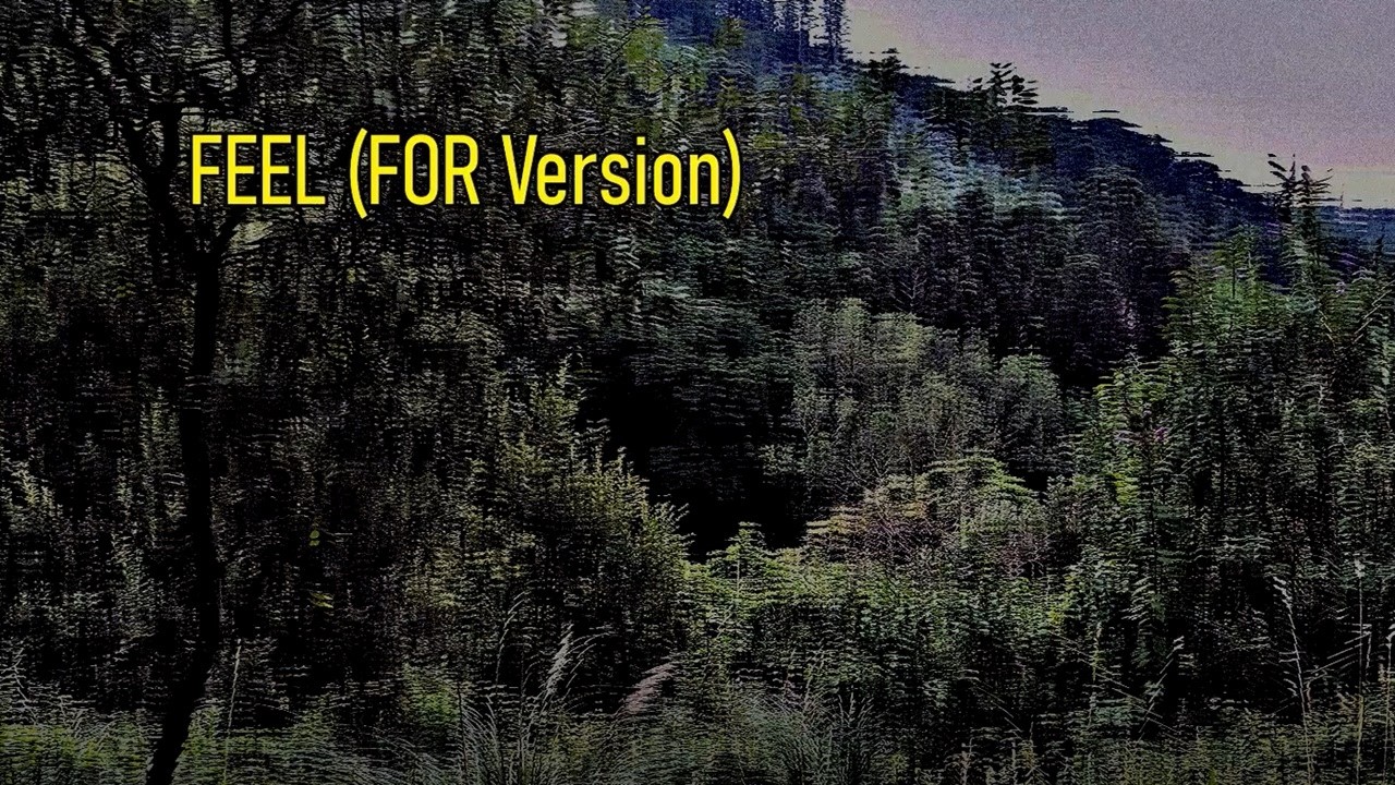 Albert Feiler - Feel & Wait - Lyrics/Letra