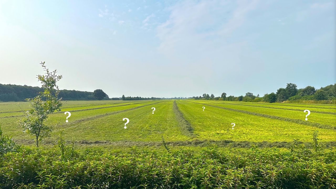 Metal Detecting in the Netherlands NR 105
