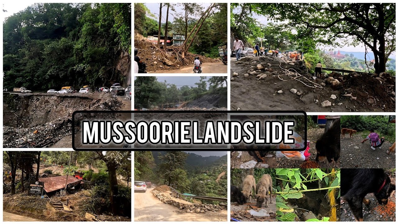 Mussoorie Landslide | Feeding Dogs| Mussoorie Road is clear now| #tibetanvlogger #landslide #feeding