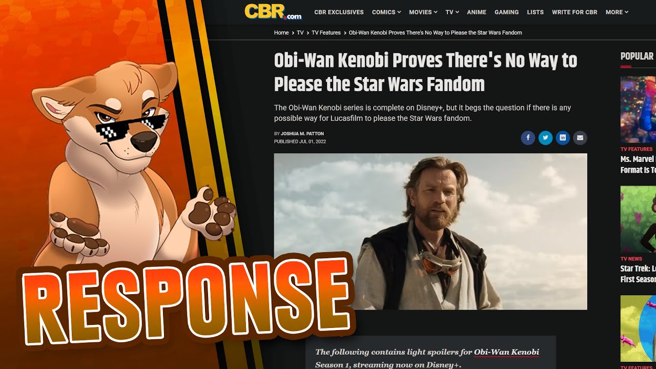 Is this a Disney Star Wars shill website?