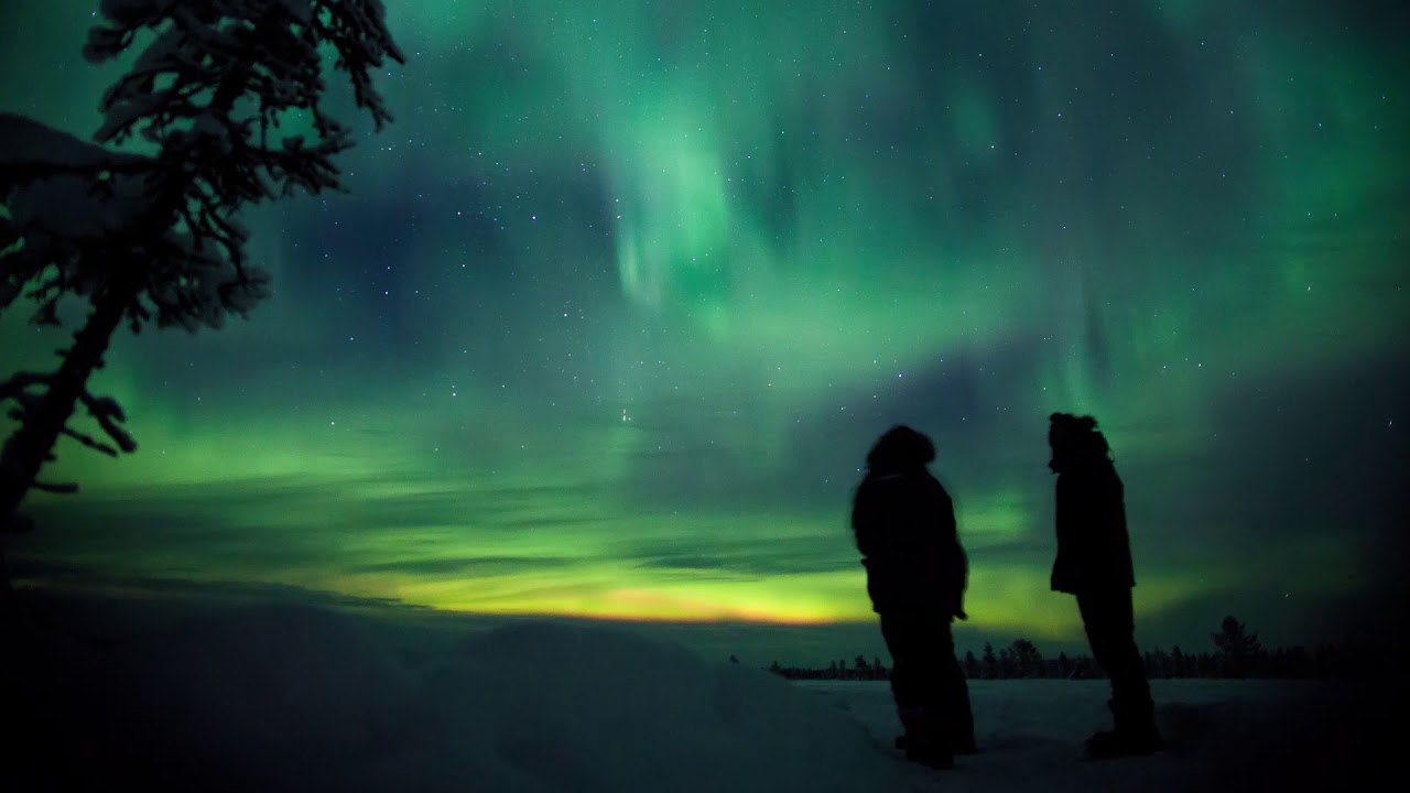 Husky Dog Sledding Overnight Tour with Northern Lights