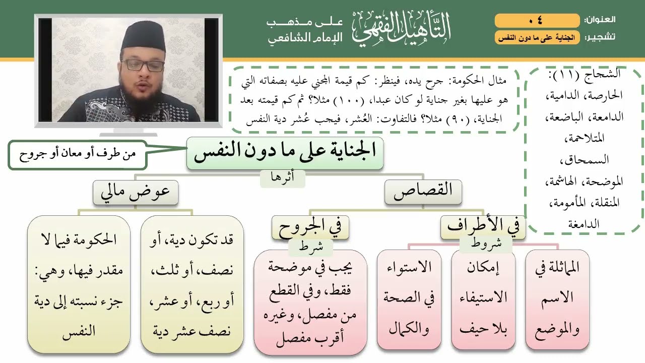 04 التأهيل الشافعي   الجناية على ما دون النفس