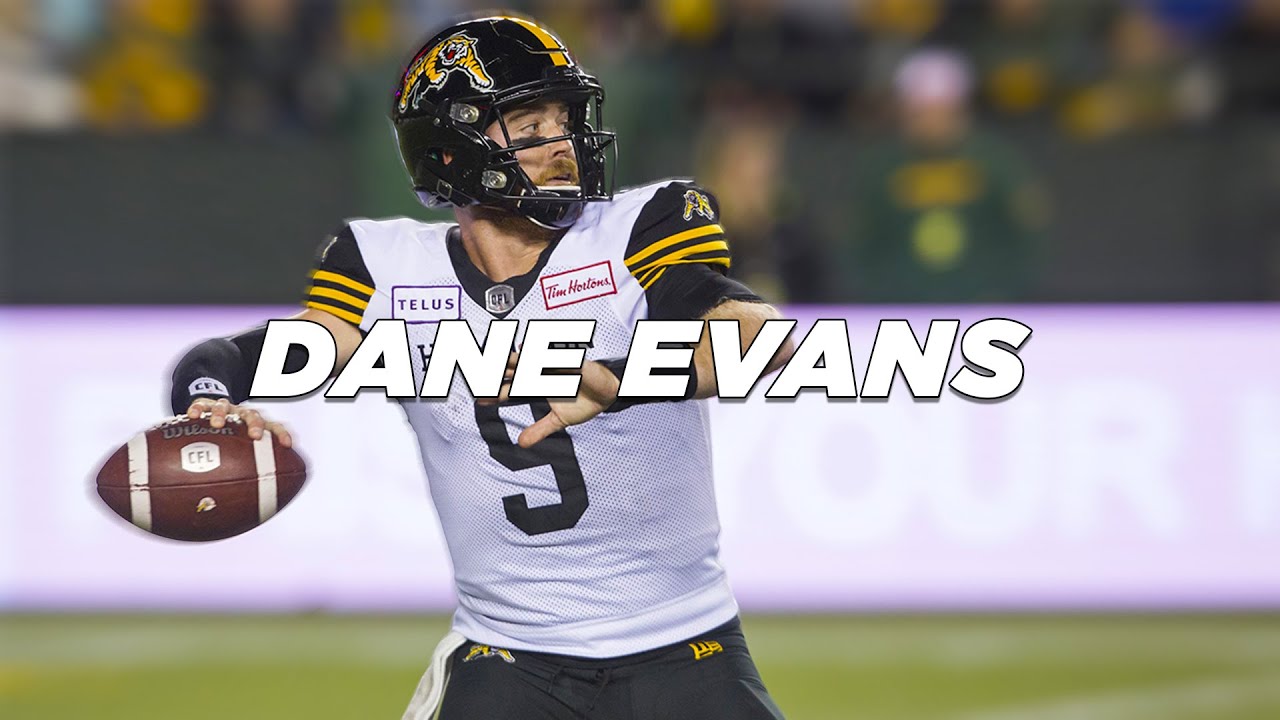 Dane Evans 2019 Highlights