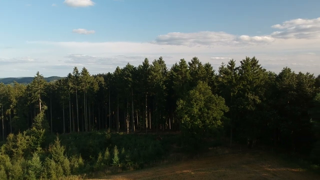 Hagen a.T.W. (Borgberg) 05.06.2022