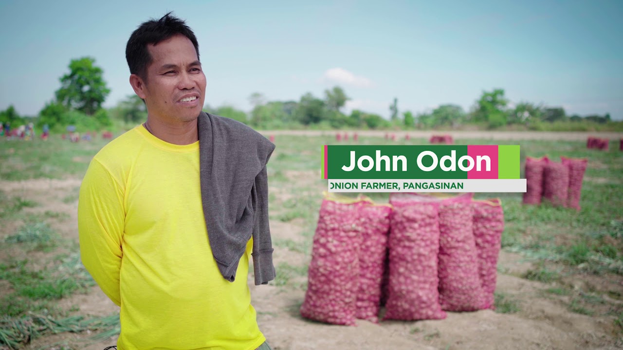 Greenbug Media Production | AGWAY Chemicals Corporation farmers' testimonial