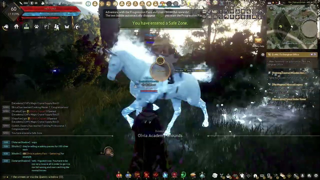 BDO- wooden horse quest Olvie academy