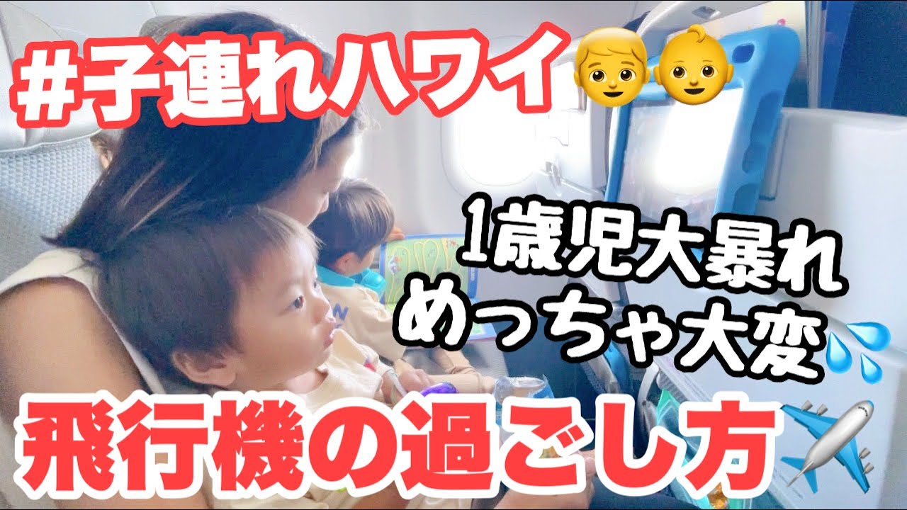 【子供 飛行機 動画】子連れ海外旅行の機内の過ごし方｜家族でハワイ旅行｜赤ちゃんのと長距離フライト搭乗記