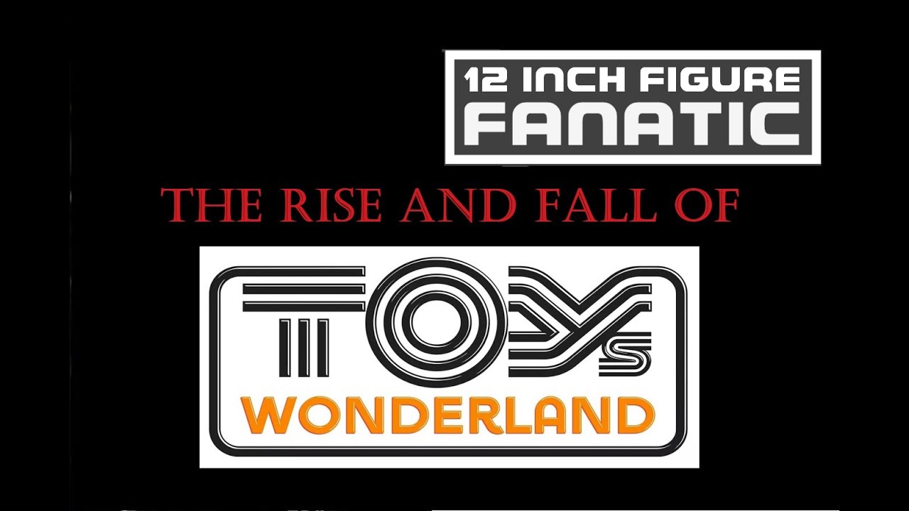 Rise and Fall of TOYS WONDERLAND
