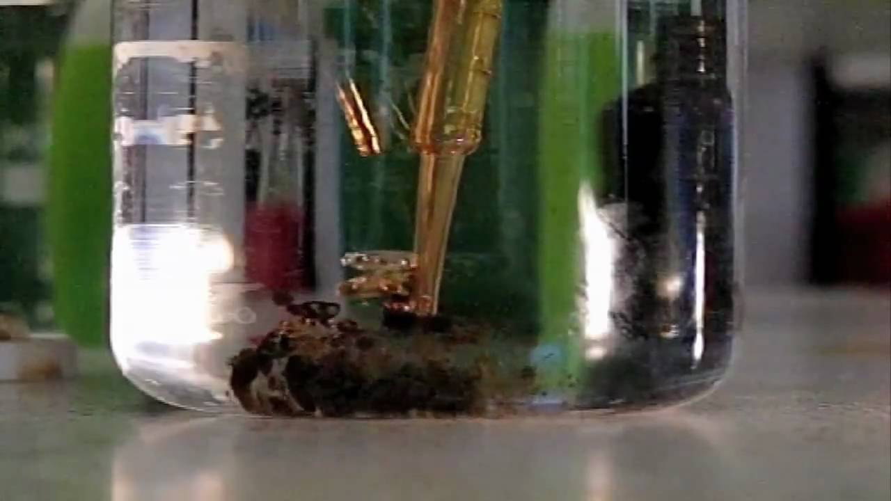 What happens when crude oil spills into the sea?