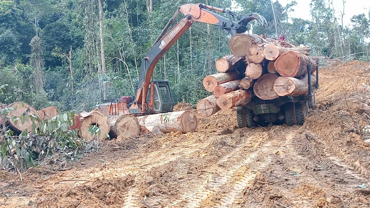 Beginilah aksinya bulldozer tarik truk tapi dia sendiri yang kena tarik
