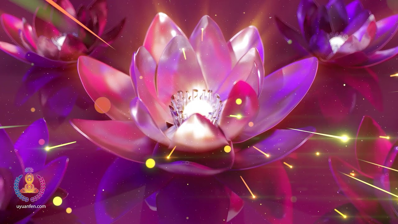 558Hz 💕 Музыка для исцеления лотоса Оживляет, успокаивает разум и снимает тревожные симптомы
