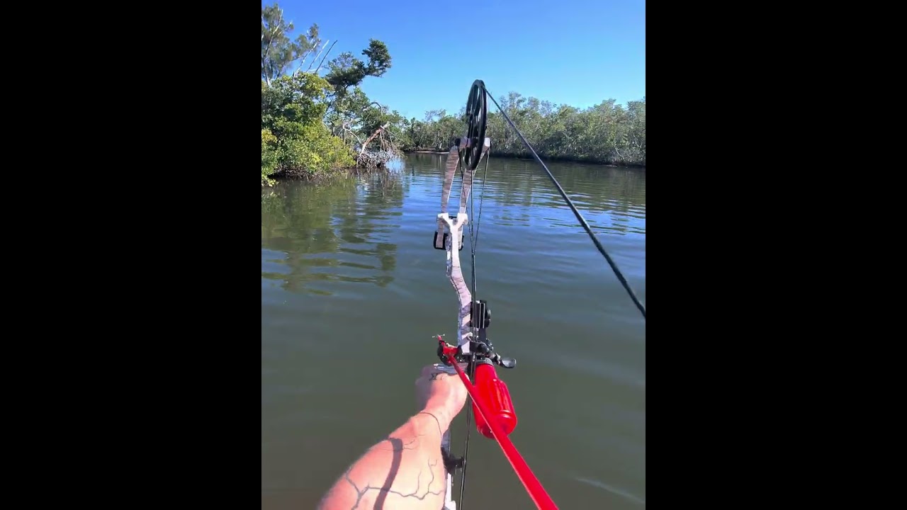 Bow fishing on a pwc 