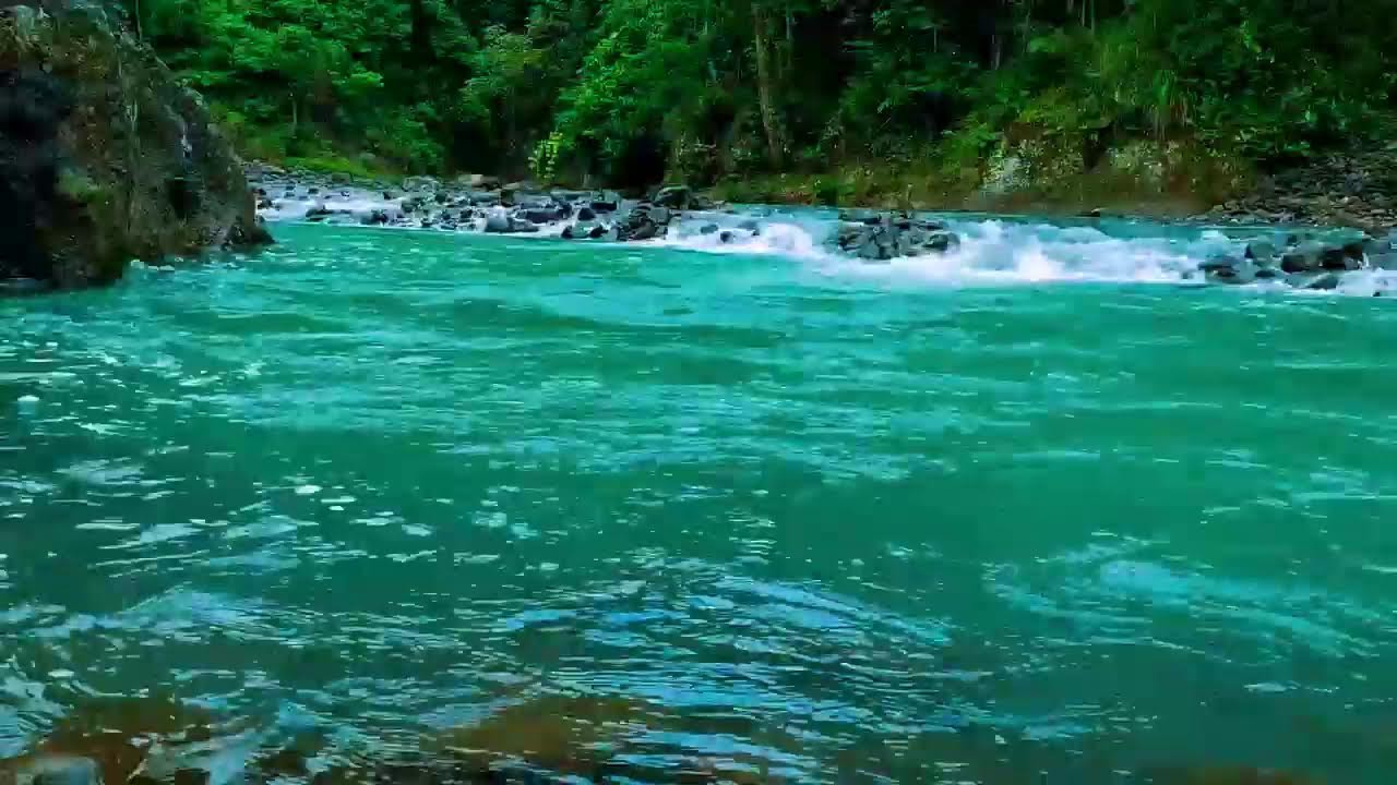 Sleep Soundly with Peaceful River Melody and Calm Water Sounds in Peaceful Forest