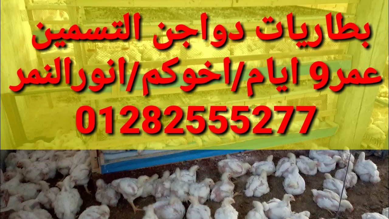 مش هتندم لو سمعت الفيديو