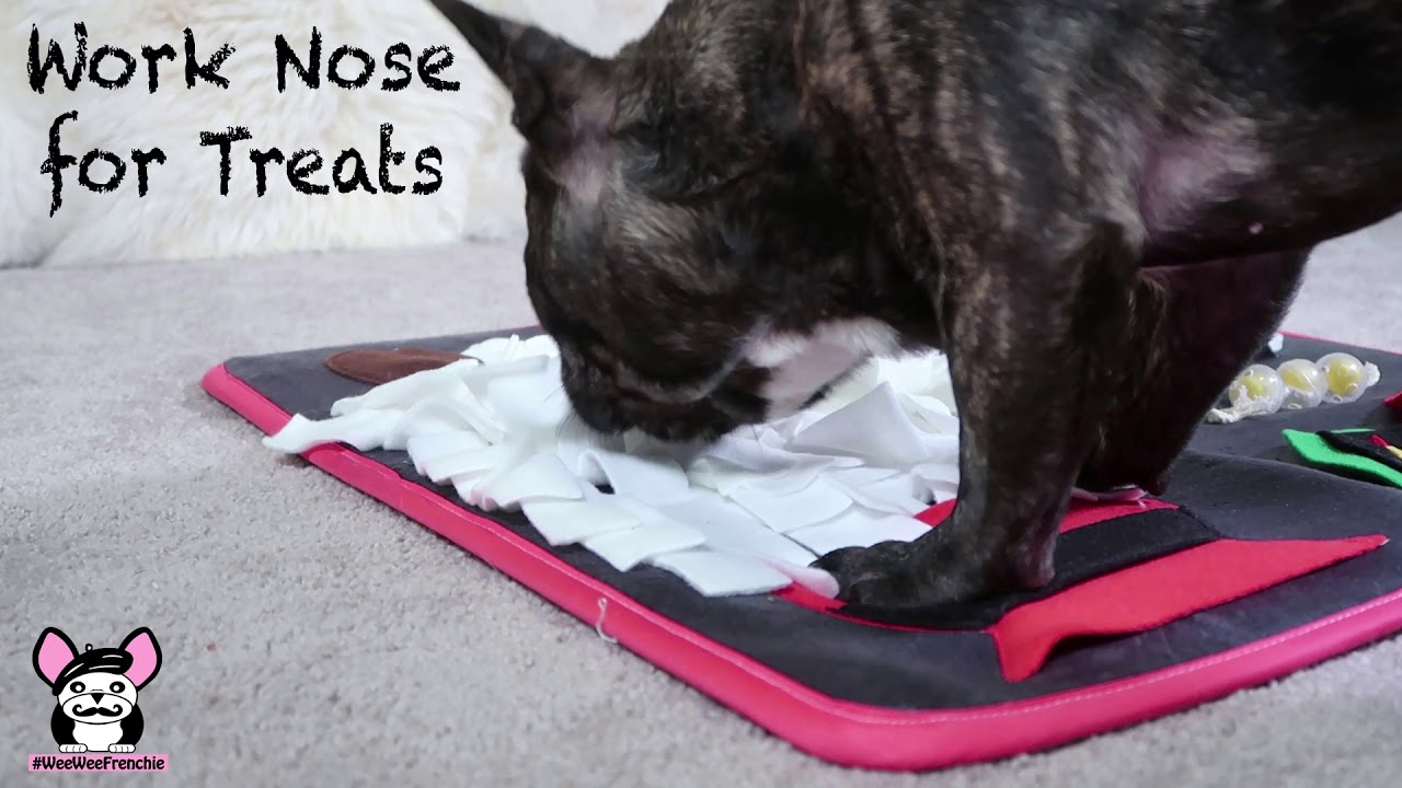 Nose Work Sushi Mat