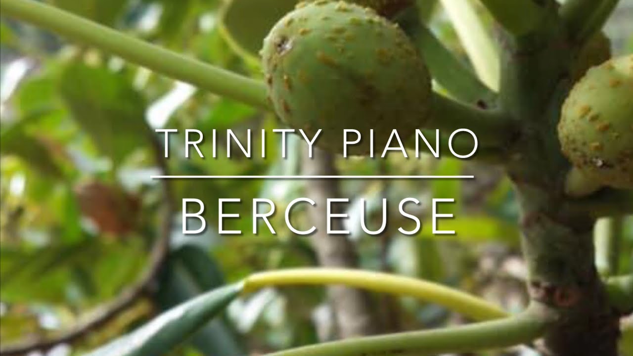 Berceuse, Op. 109 No. 7, Friedrich Burgmüller, Trinity Piano Grade 5, 2021-2023