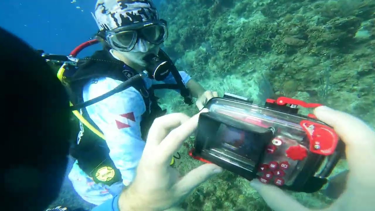 Dive 90