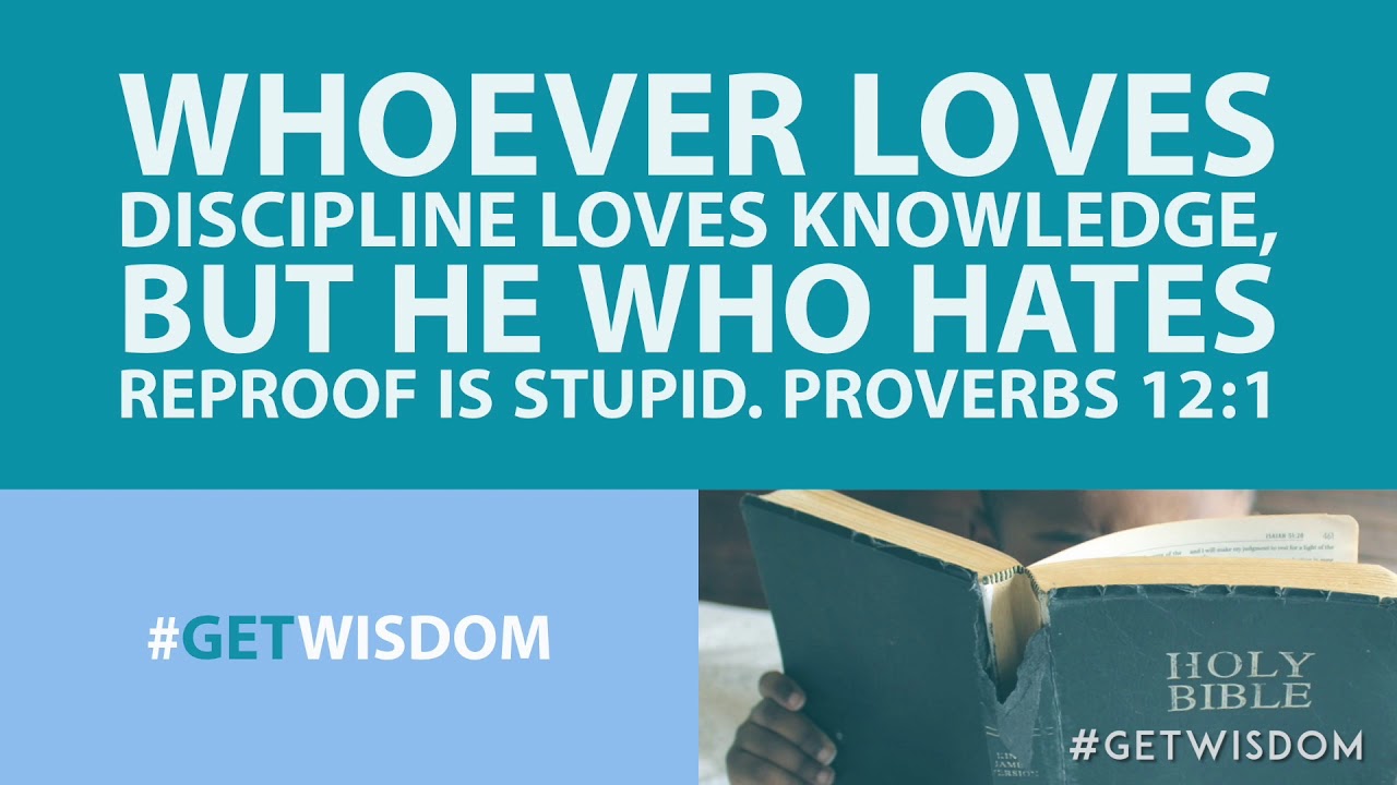 Proverbs 12:1 | Don't Be Stupid, Love Discipline | Get Wisdom
