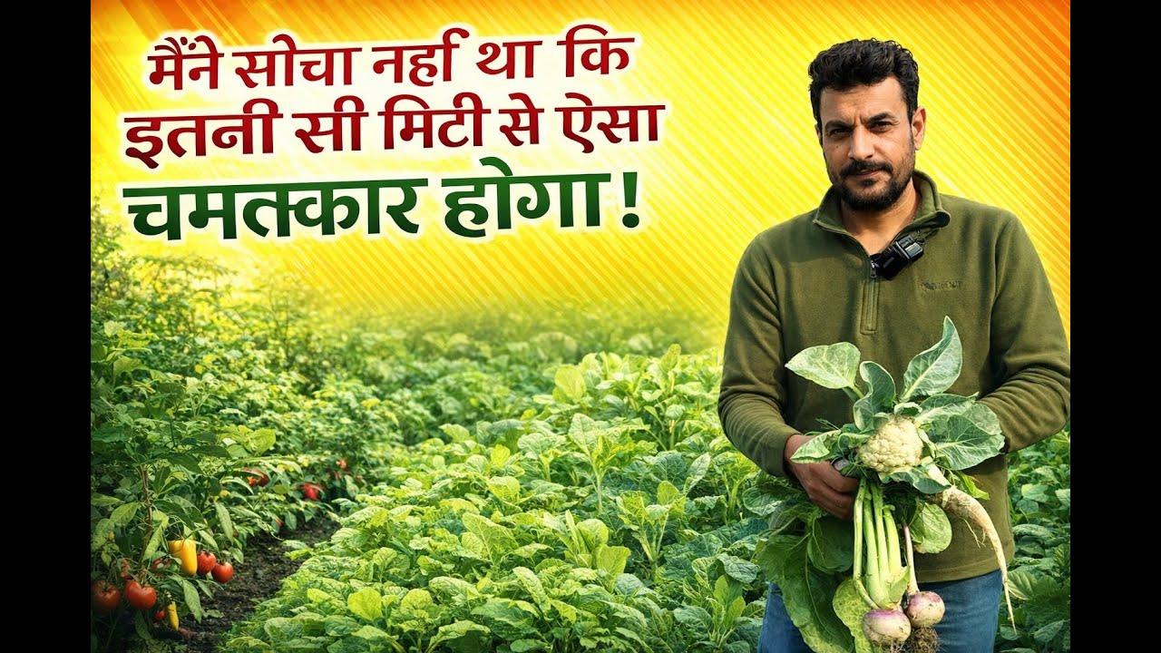 सोचा था थोड़ी मिट्टी से क्या होगा… अब टेरेस गार्डन में सब्ज़ियों की बारिश! 😱