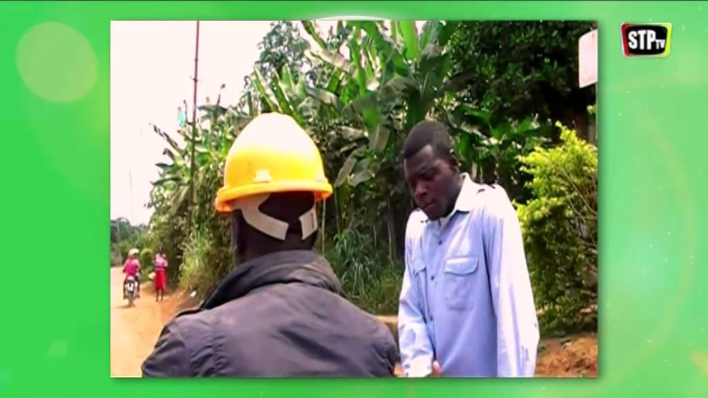 STPtv - Os Criativos