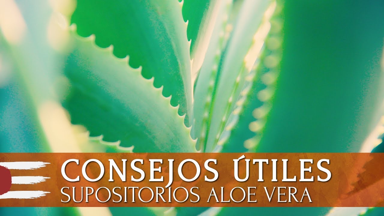 CONSEJOS ÚTILES | Cómo preparar Supositorios de Aloe Vera para las Hemorroides