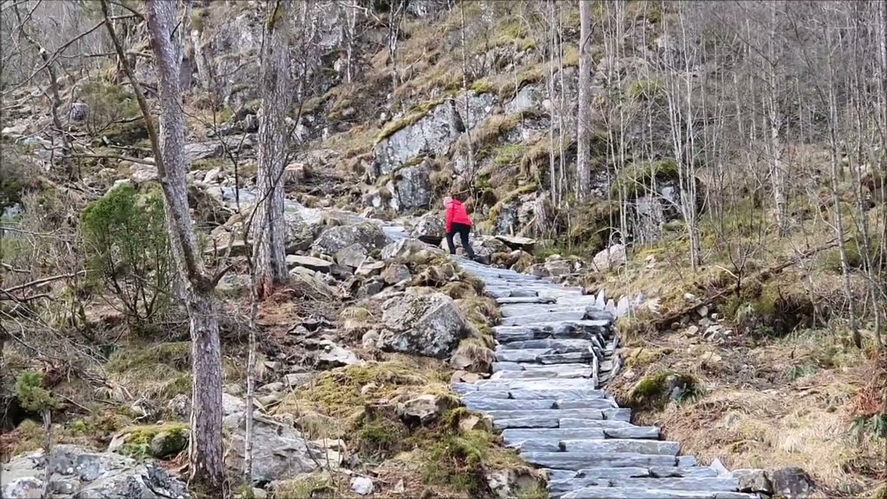 Siggjo før trapper  10 03 2019 og etter trapper 27 02 2020