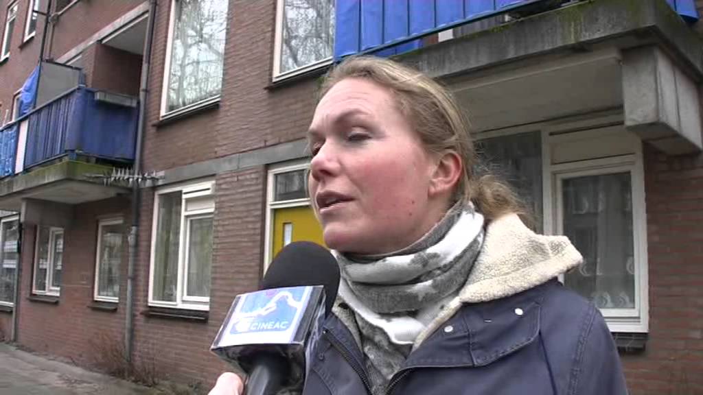 Cineac Noord - Straatpraat gemuilkorfde honden