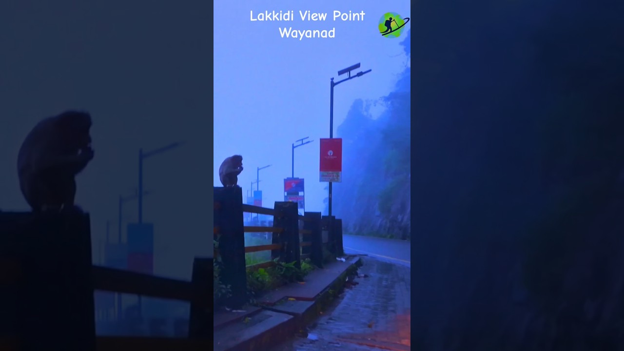 Lakkidi View Point | Wayanad I Kerala