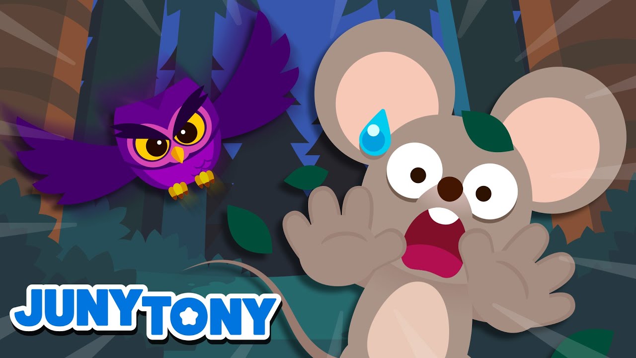Animais Noturnos | Amigos Animais | Música Infantil | JunyTony em Português
