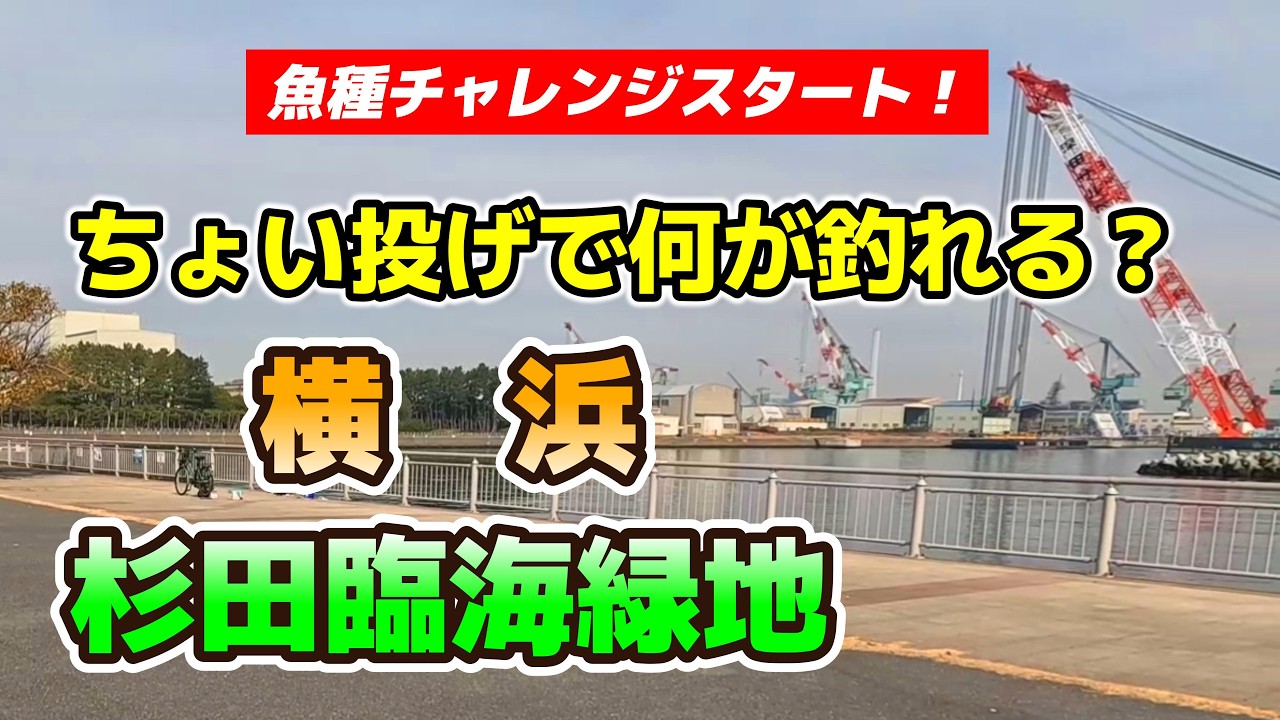 #012 杉田臨海緑地でちょい投げ 【神奈川県】