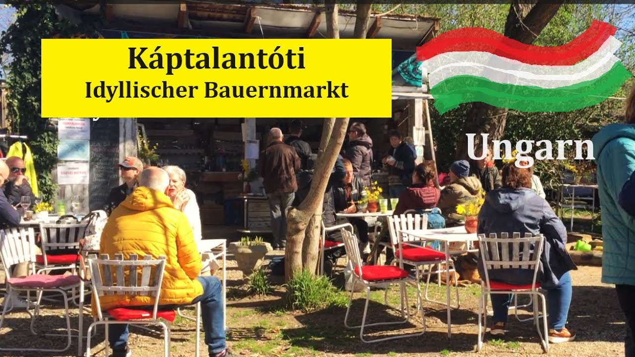 Káptalantóti uriger Bauernmarkt Ungarn 🧀🍰🥦🌺 Liliomkert piac #sehenswürdigkeiten #ungarn #bauernmarkt