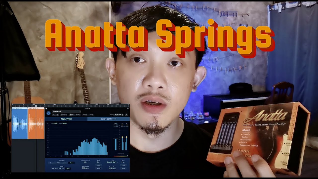 ทดสอบ Springs จาก Anatta Guitar Parts | SuperFrame66
