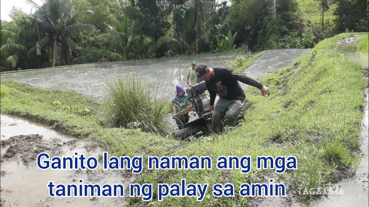 V039 - Pag hahand tracktor ng sabugan ng palay | S.J iloilo.