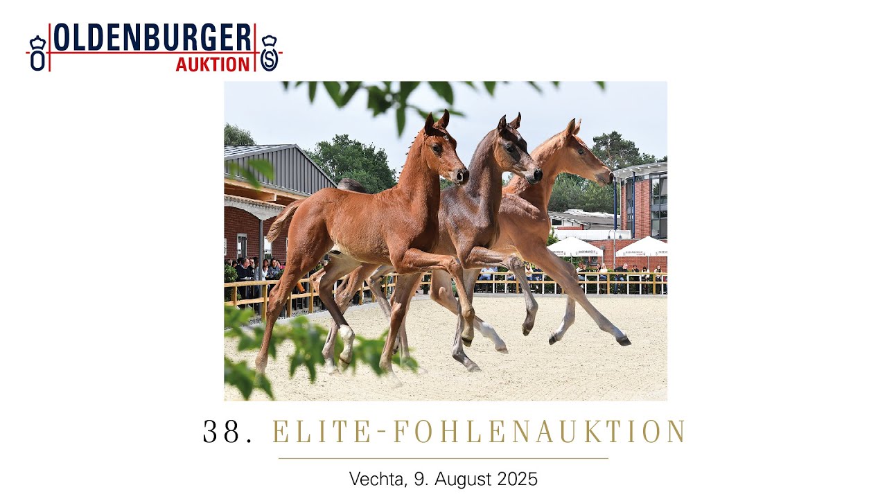 Trailer - 38. Elite-Fohlenauktion - 2025