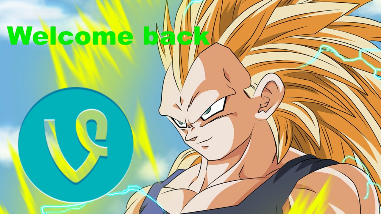 Dbz vine complition #16