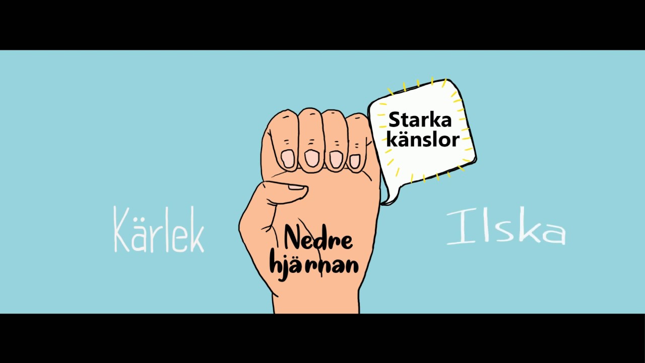 F&ouml;rst&aring; ditt barns hj&auml;rna - knep f&ouml;r att hantera ilska
