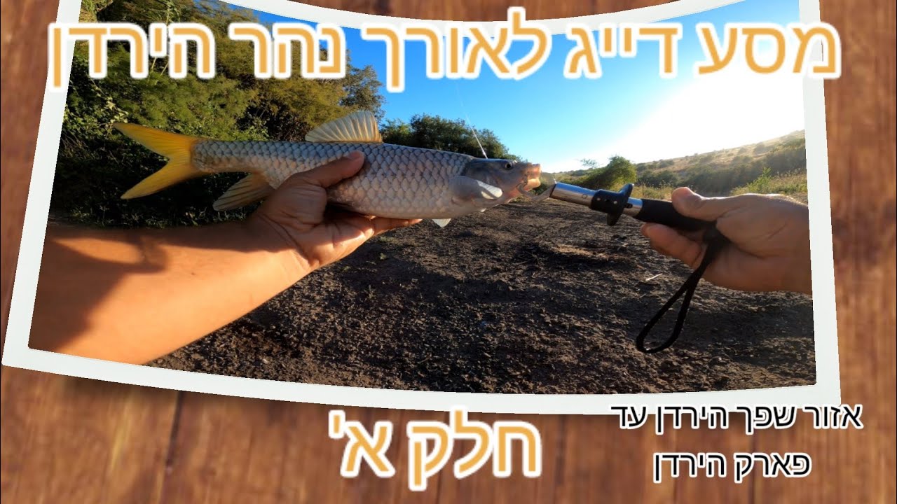 דיג אולטרה לייט בנהר הירדן בכמה נקודות שונות (המסע לאורך נהר הירדן פרק א') Fishing in the river