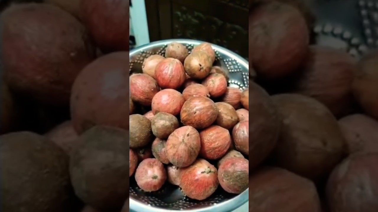 മൂട്ടിൽപഴം(mootti pazham)#fruit​ ​ #varietyfruit​ #mootipazham​ #respectyoutubeshorts​