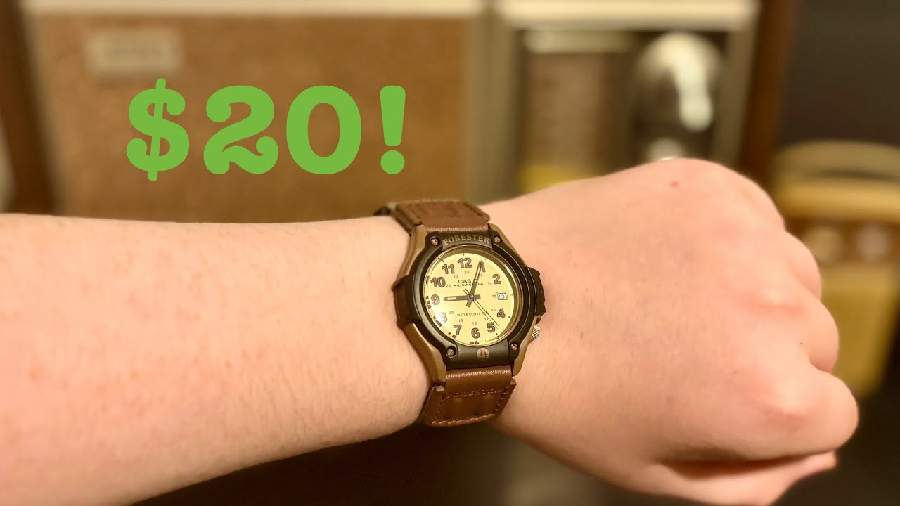 The Best Budget Field Watch! (Casio Forester)